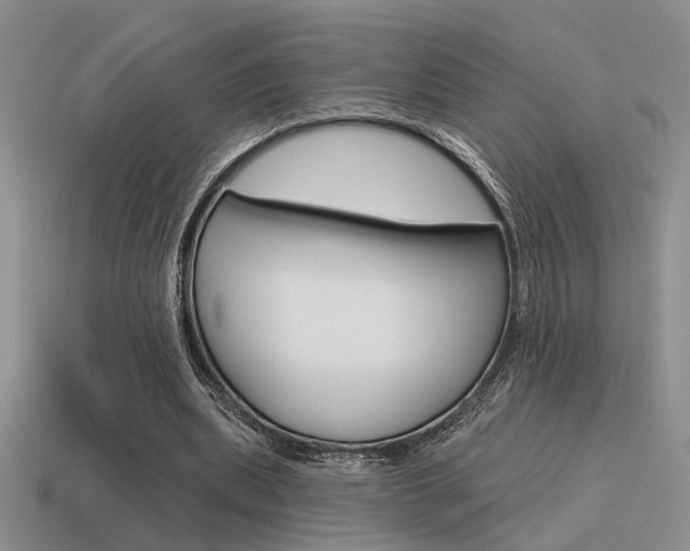 X0000115550439200911061130