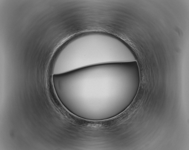 X0000115550440200911061130