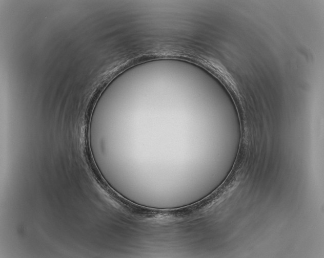 X0000115550441200911061130
