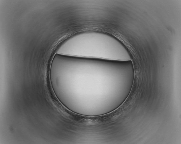 X0000115550442200911061130