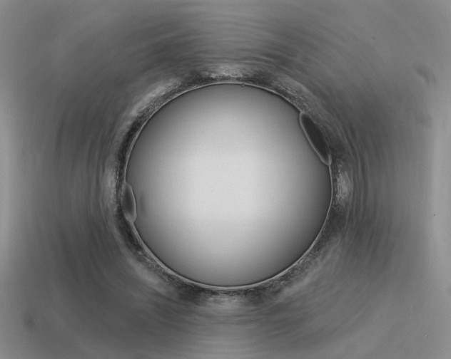 X0000115550444200911061130