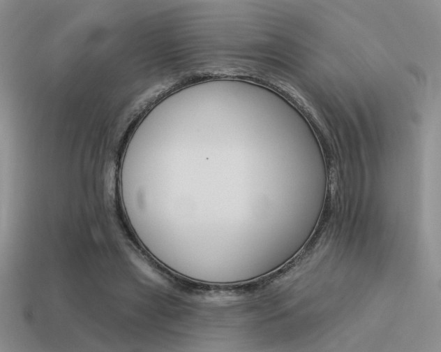 X0000115550445200911061130