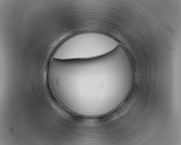 X0000115550446200911061130