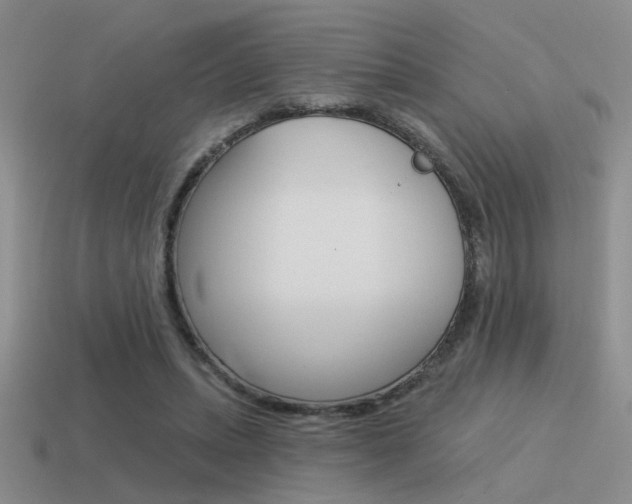 X0000115550447200911061130
