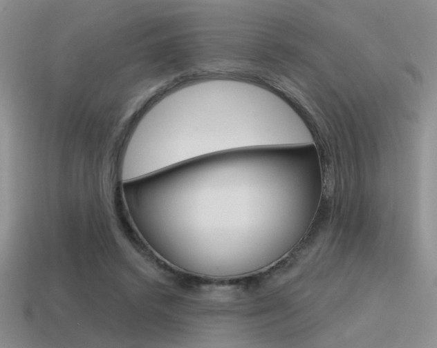 X0000115550448200911061130
