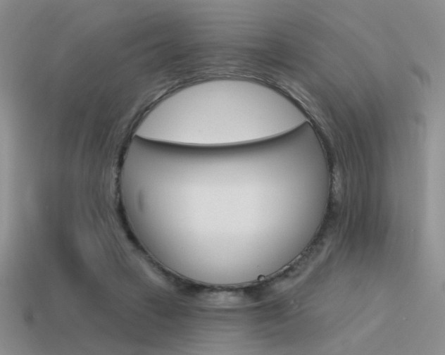 X0000115550449200911061130