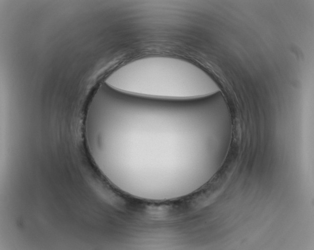 X0000115550450200911061130