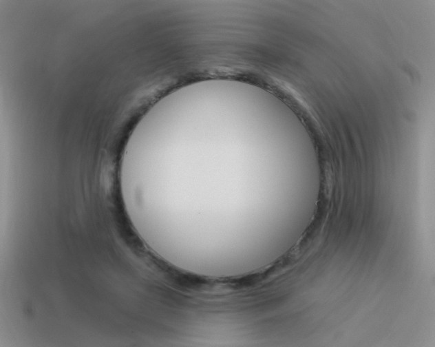 X0000115550451200911061130