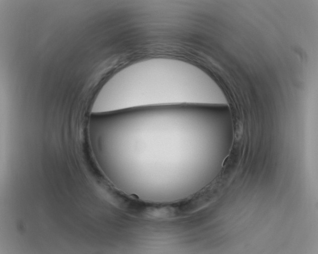 X0000115550452200911061130