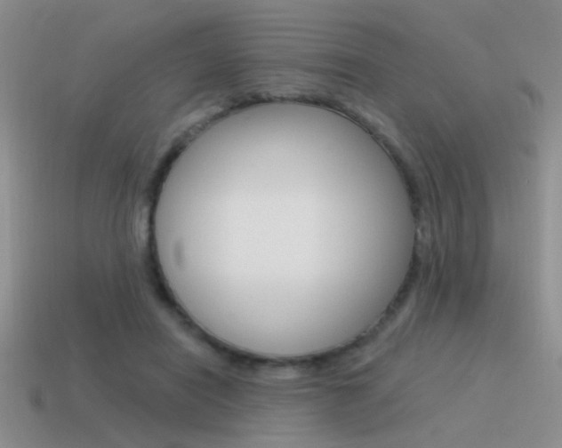 X0000115550454200911061130
