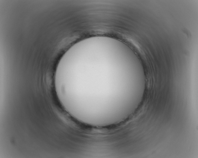 X0000115550455200911061130