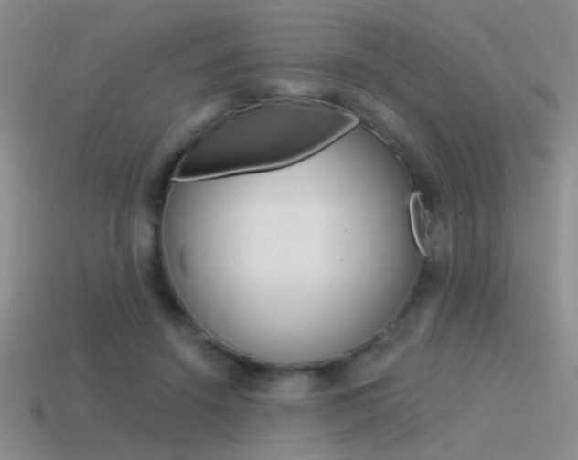 X0000115550456200911061130