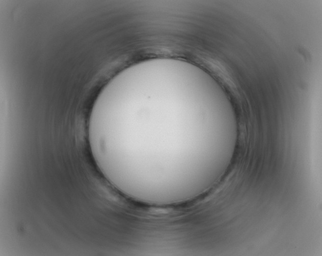 X0000115550457200911061130