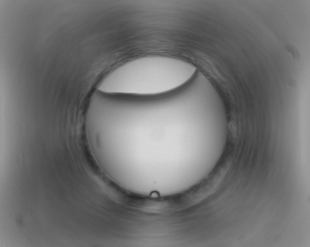 X0000115550458200911061130