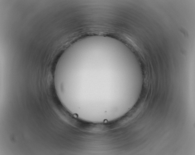 X0000115550459200911061130