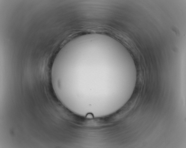 X0000115550461200911061130