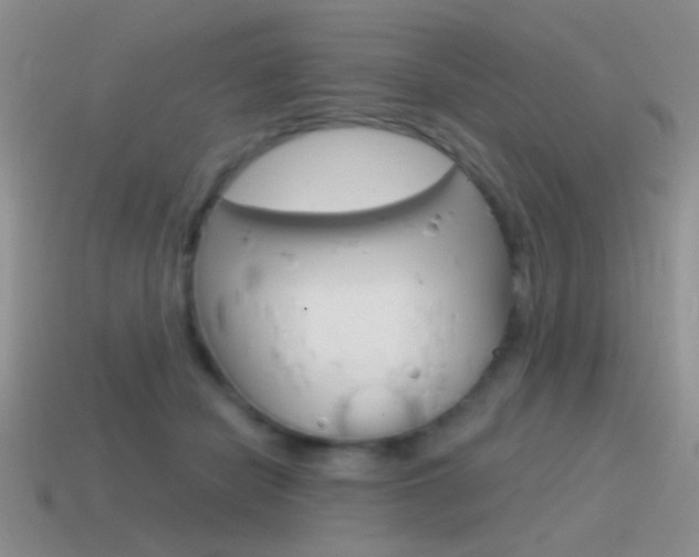 X0000115550462200911061130