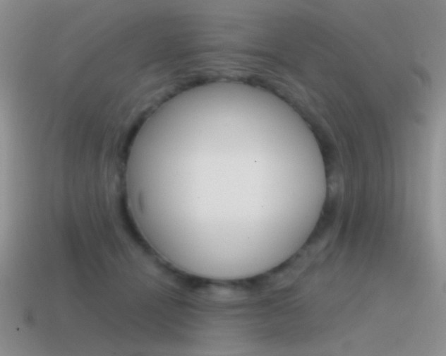 X0000115550464200911061130