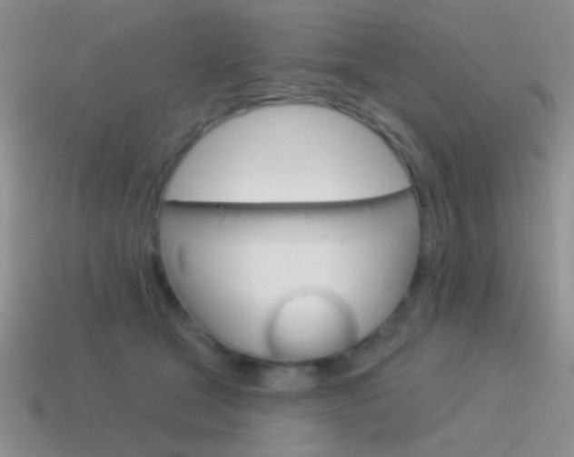 X0000115550465200911061130