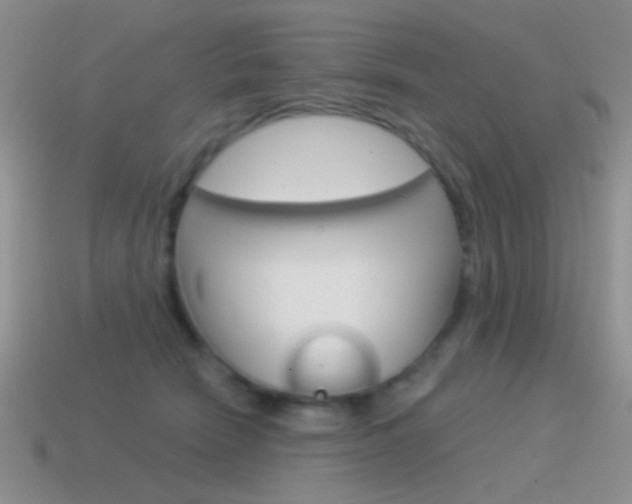 X0000115550466200911061130