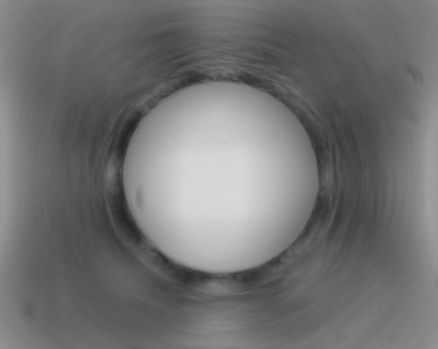 X0000115550468200911061130