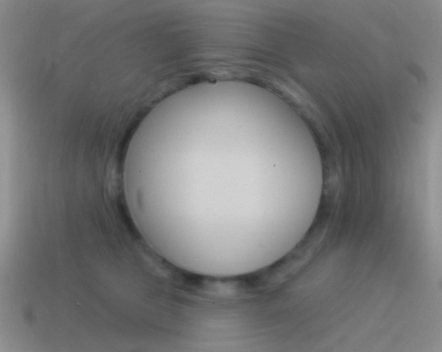 X0000115550469200911061130