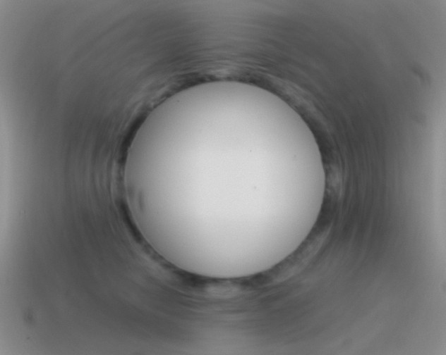 X0000115550470200911061130