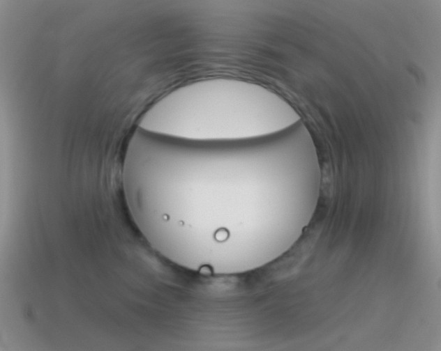 X0000115550474200911061130