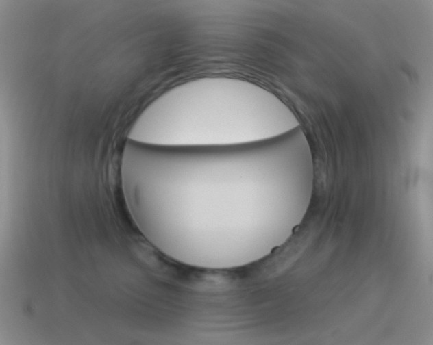 X0000115550475200911061130