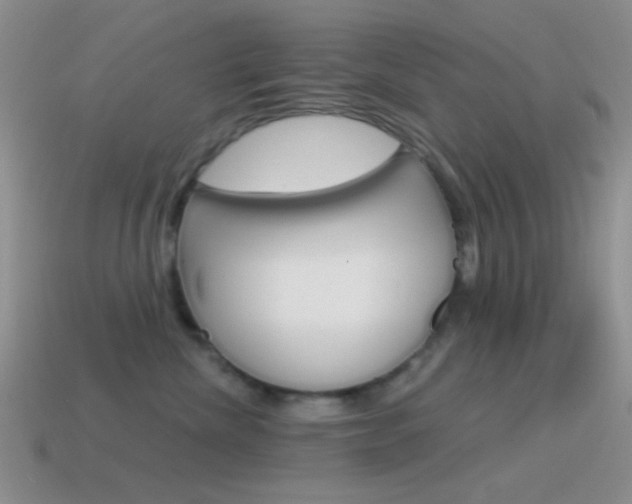 X0000115550476200911061130