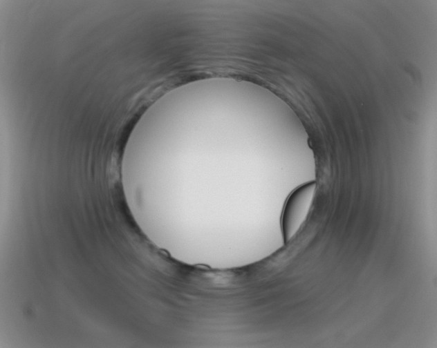 X0000115550478200911061130