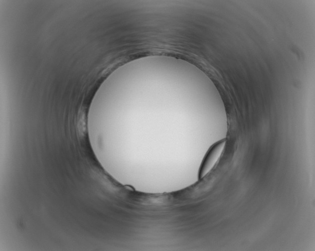 X0000115550479200911061130
