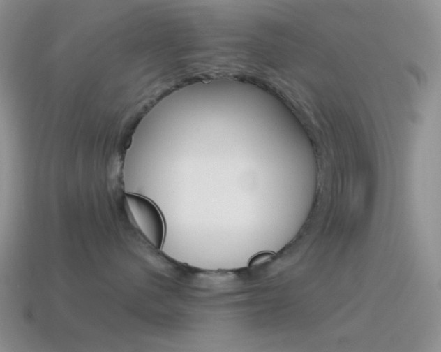 X0000115550480200911061130