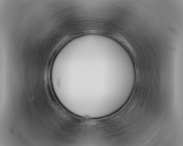 X0000115550482200911061130