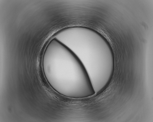 X0000115550483200911061130