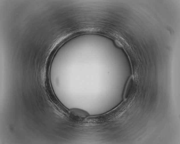 X0000115550484200911061130