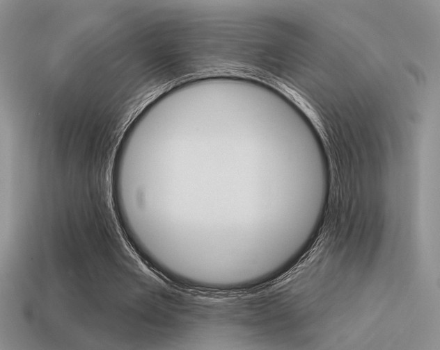 X0000115550485200911061130