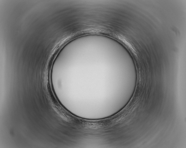 X0000115550486200911061130