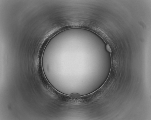 X0000115550488200911061130