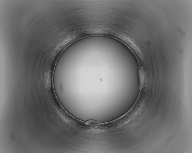 X0000115550489200911061130