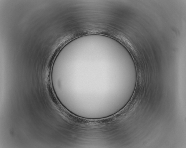 X0000115550490200911061130