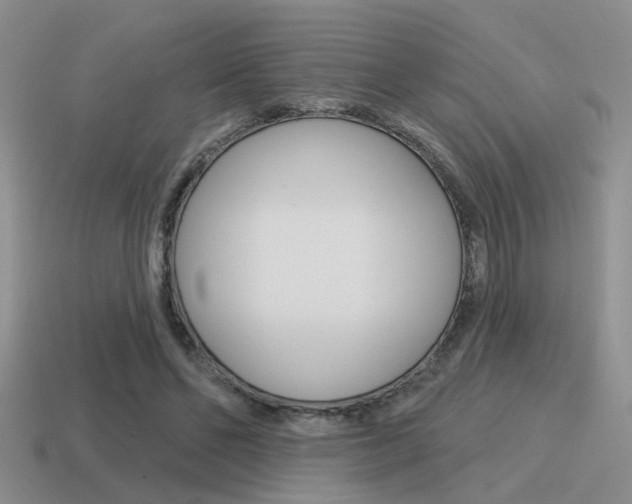X0000115550494200911061130