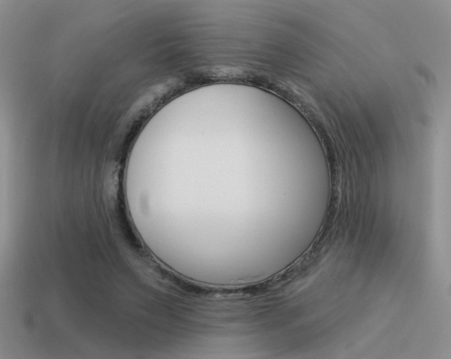 X0000115550495200911061130