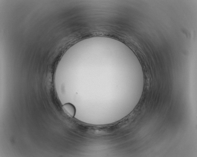 X0000115550498200911061130