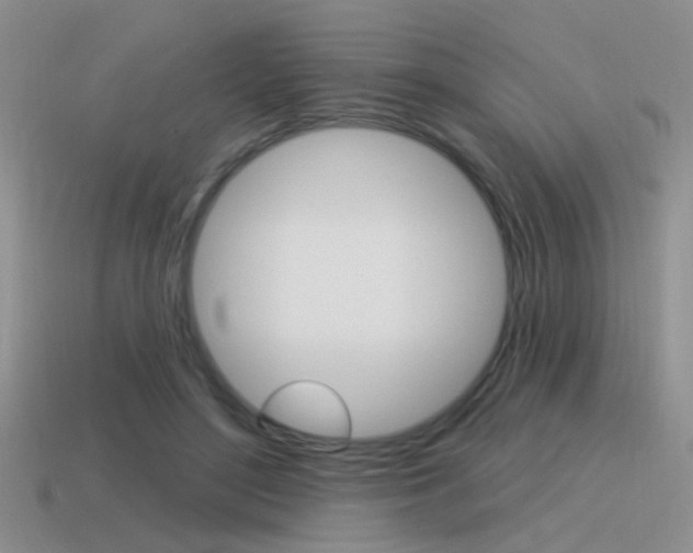 X0000115550500200911061129