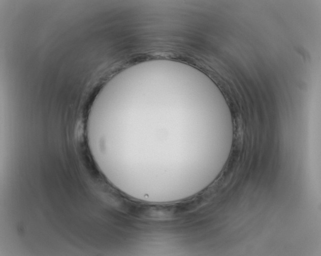 X0000115550502200911061129