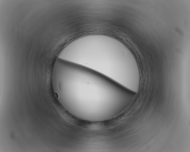 X0000115550505200911061129