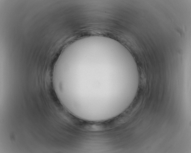 X0000115550506200911061129