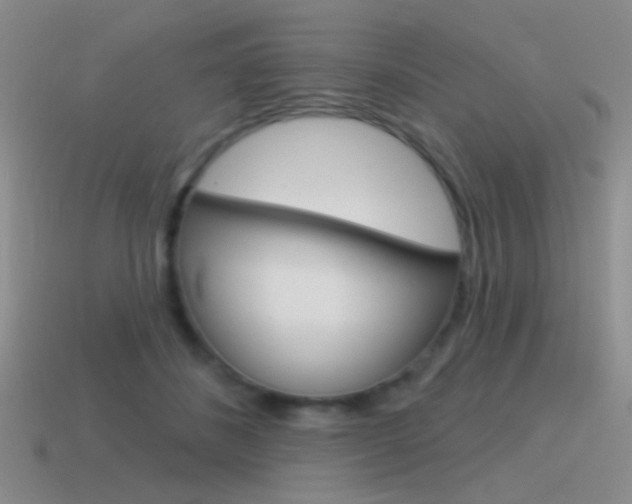 X0000115550508200911061129