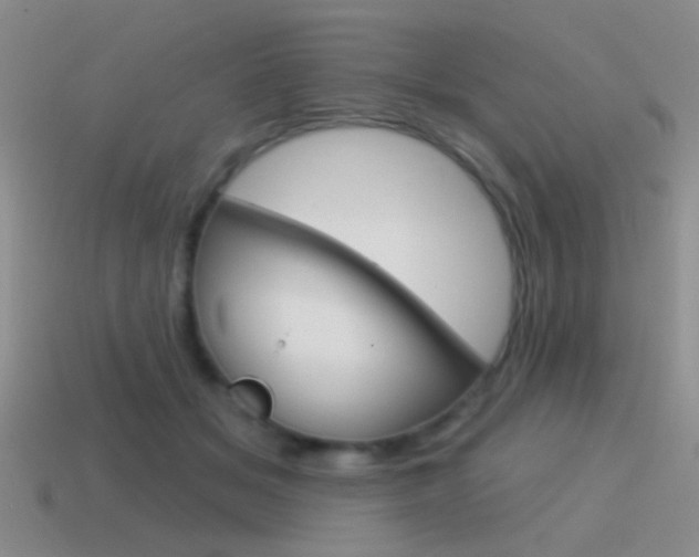 X0000115550509200911061129